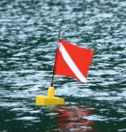 Diver-Down-flag---Florida-Spiny-Lobster-Regulations---FWC