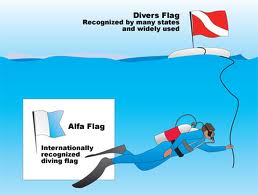 diver_down_flag2